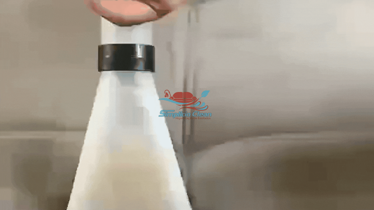 Higienização Profissional