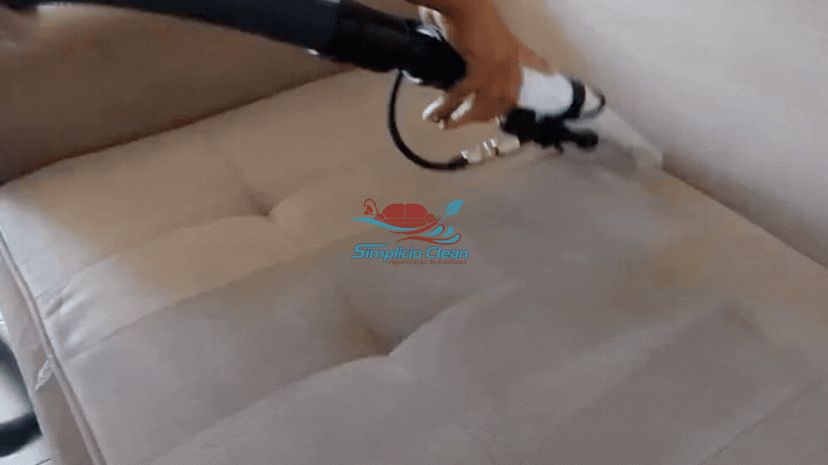 Limpeza Especializada